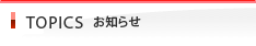 TOPICS ���m�点